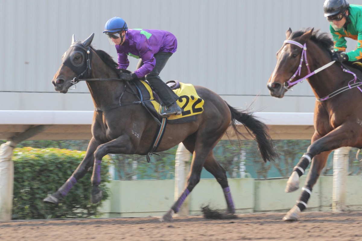 Lovely Delovely, who struggled on the Sha Tin all-weather two weeks ago, produced a better trial performance at Happy Valley yesterday. Photo: Kenneth Chan