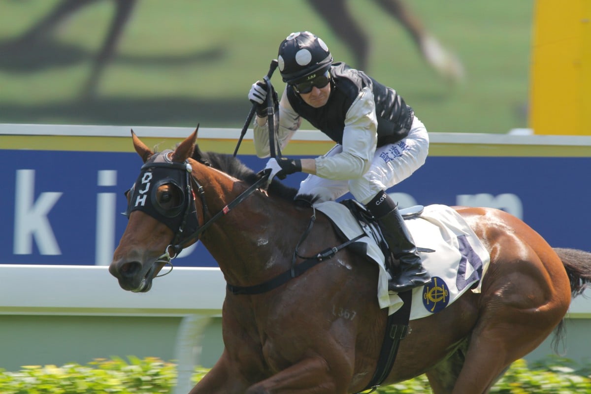 Wins for Colm O'Donoghue were far and few between, but he had success on Tres Magnifique in a class 4 race, 1800m at Sha Tin in October. Photo: Kenneth Chan