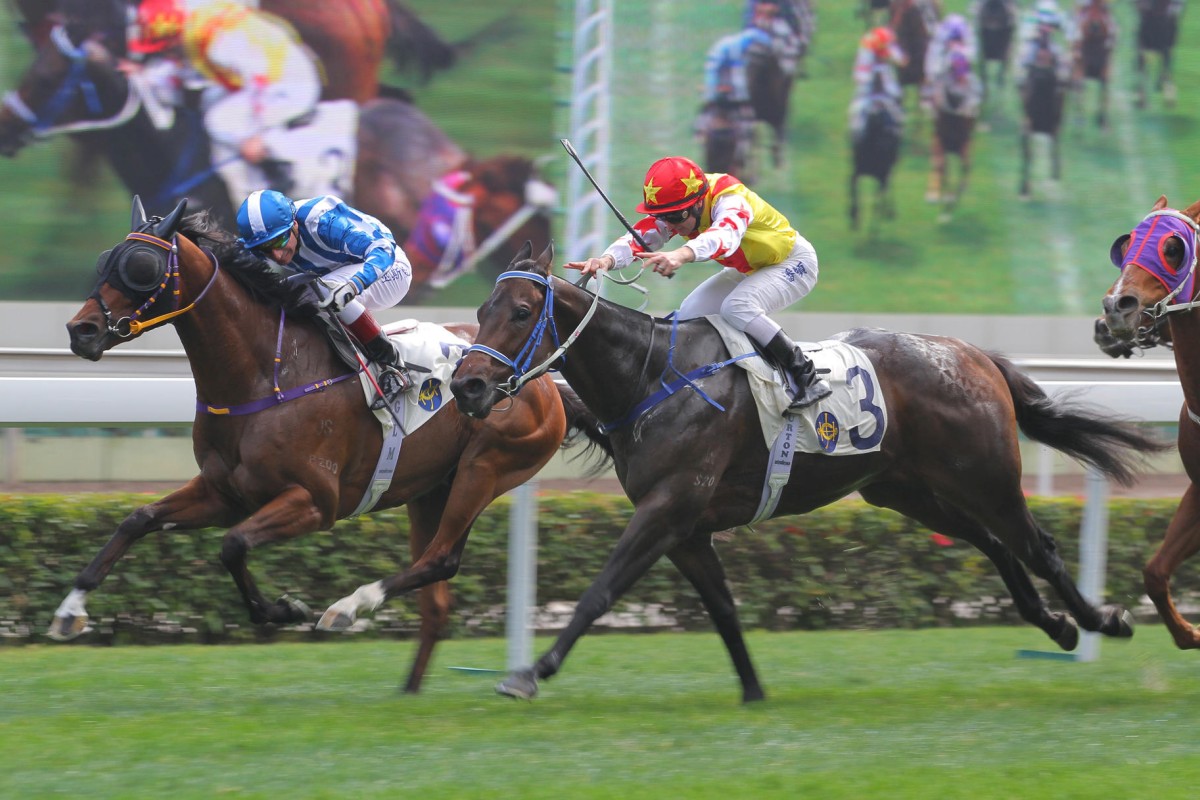 Star of Bond (Gerald Mosse) holds off Supreme King (Zac Purton) at Sha Tin on Sunday. Photo: Kenneth Chan