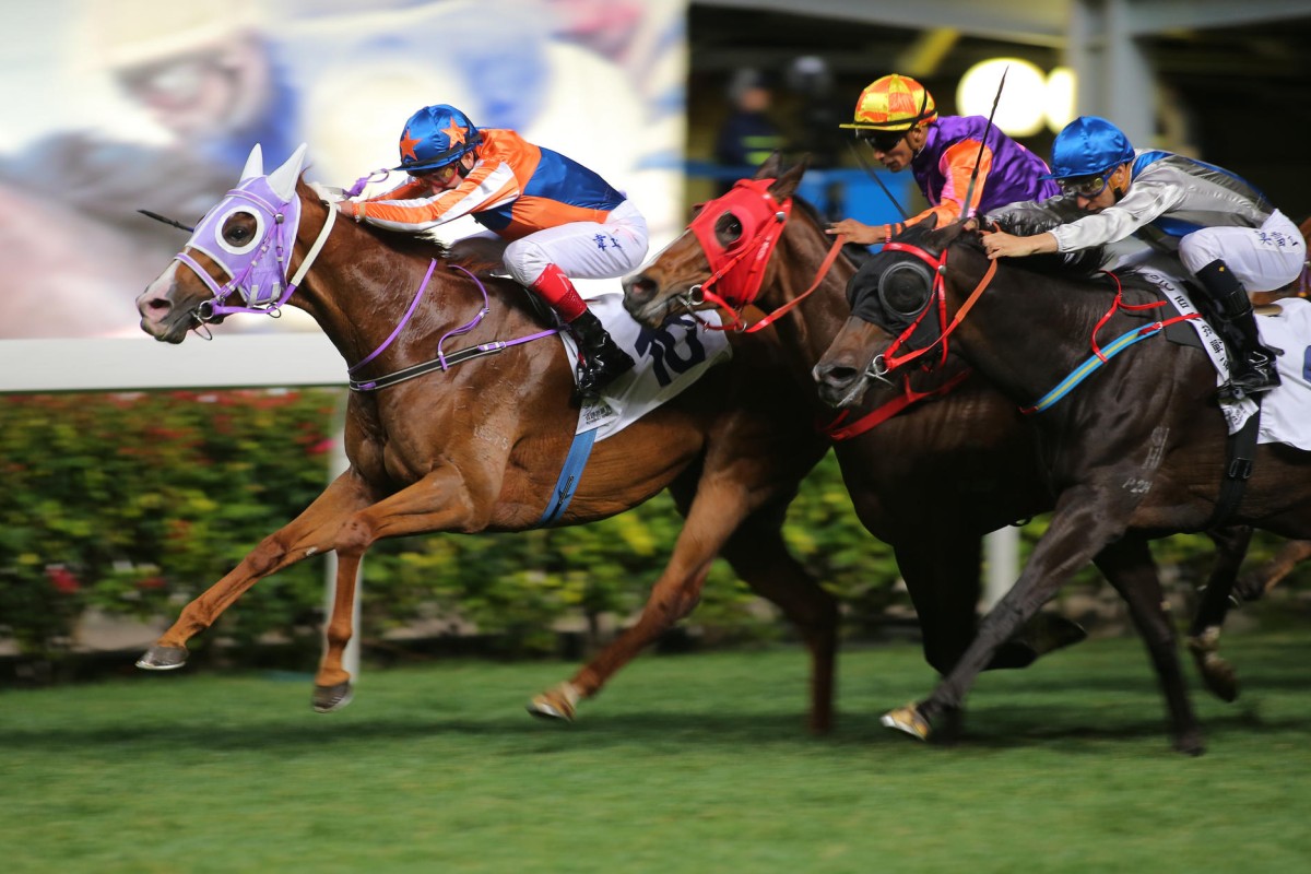 An erratic Golden Addiction (outside) "dictated" Redwood Baby's running line behind winner Holmes Legend (inside) last week. Photo: Kenneth Chan