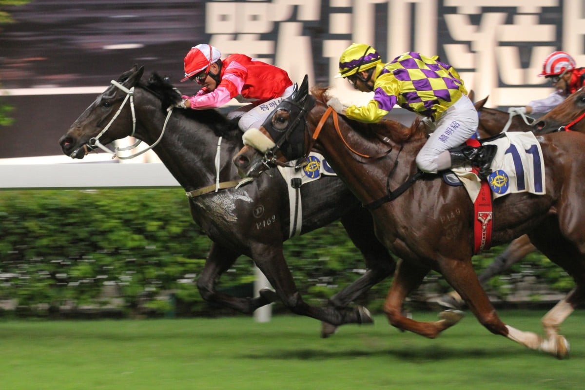 Winnie's Horse (inside, Keith Yeung Ming-lun) holds on to win at Happy Valley in July. He will be looking for his first win this season with Joao Moreira aboard. Photo: Kenneth Chan