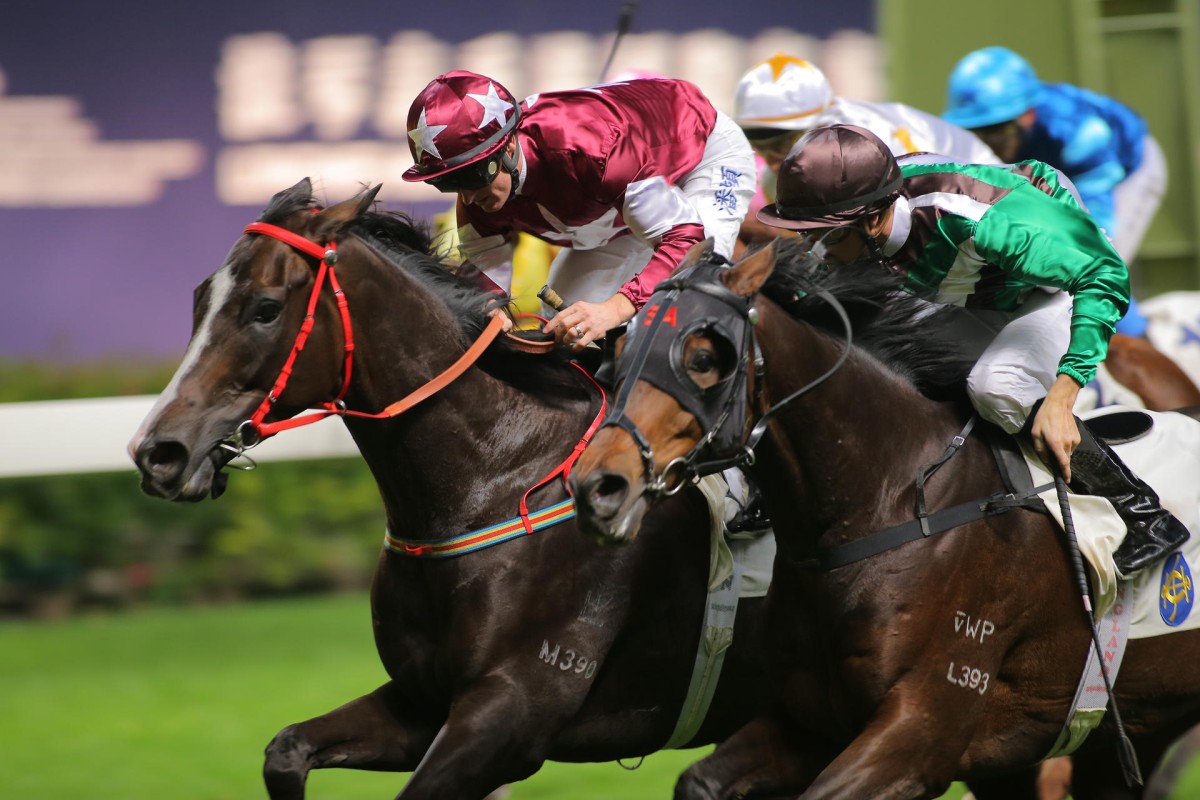 Hei Hei Posh (Zac Purton) holds off Super Strike (Tye Angland) by a short head in November. They renew their rivalry once again here. Photo: Kenneth Chan