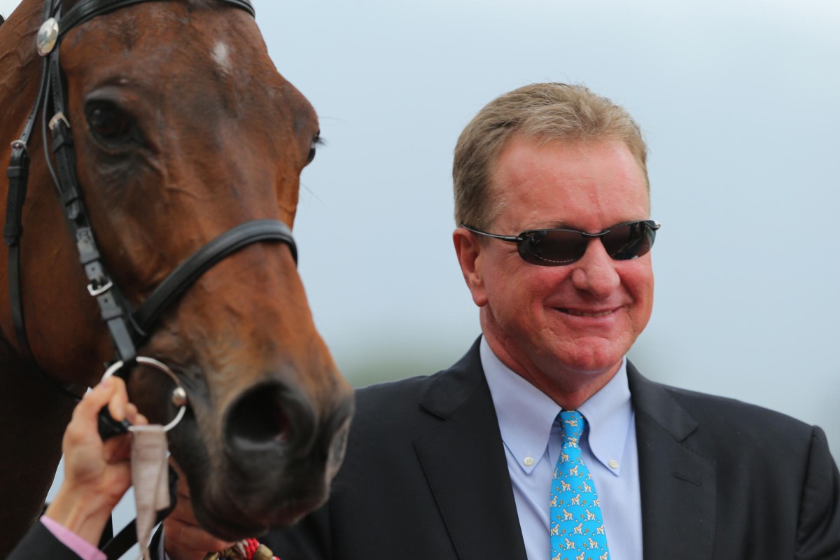 Tony Millard was full of praise for Super Lifeline, calling him "an unassuming horse". 