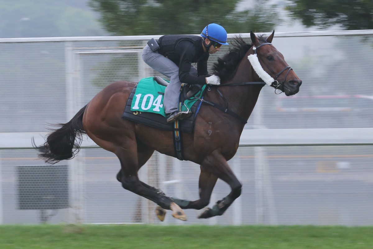 Flagship Shine, ridden by Joao Moreira, worked better than expected on the turf at Sha Tin on Thursday. Photo: Kenneth Chan