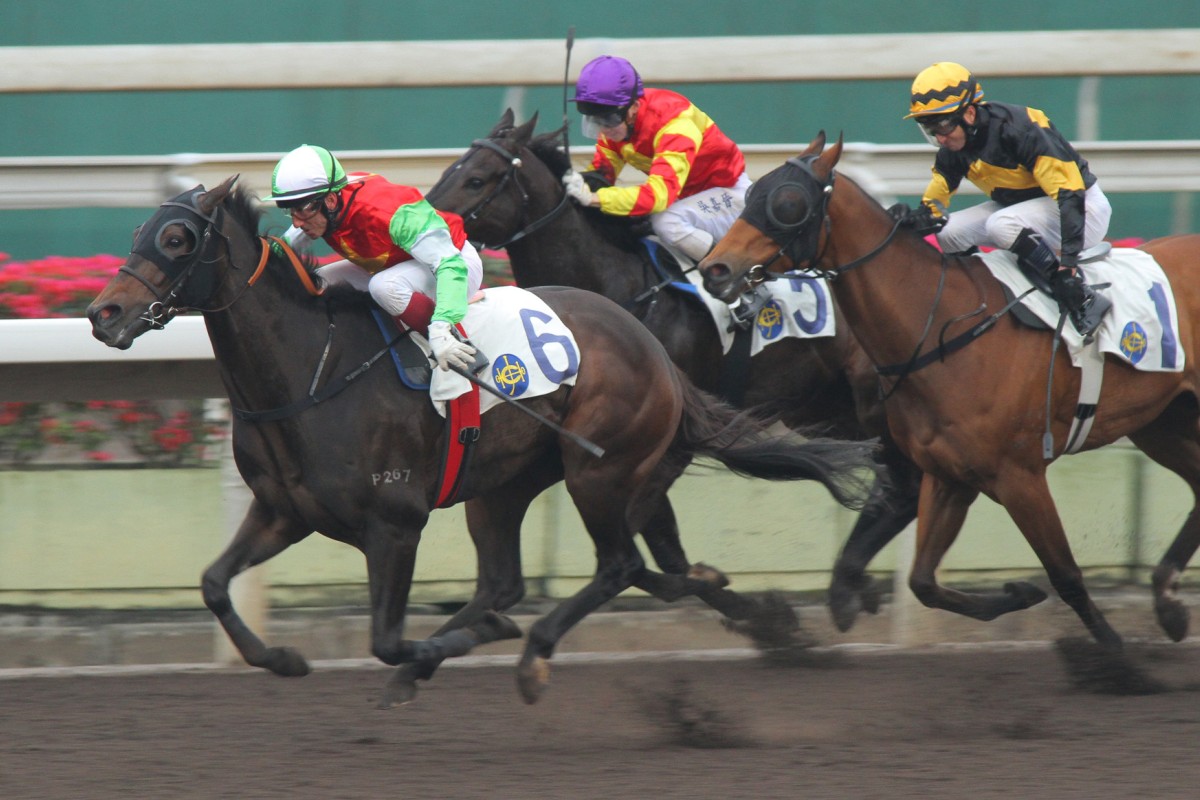 Olivier Doleuze coaxes everything out of Turin Pearl to win last start. Photo: Kenneth Chan