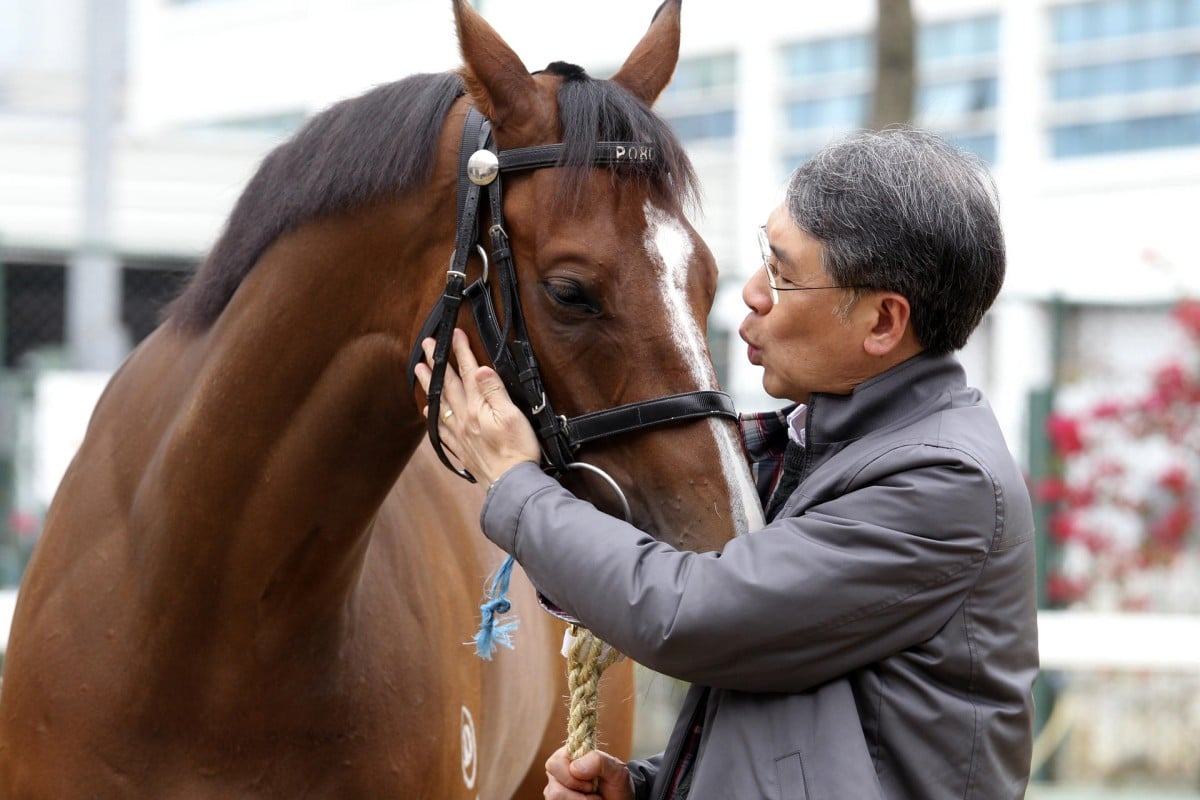 Owner Dr Gene Tsoi Wai-wang with Mr Gnocchi before his run in the Hong Kong Derby, where he finished a game fourth. He is the first of this year's Derby crop to race since. Photos: Kenneth Chan