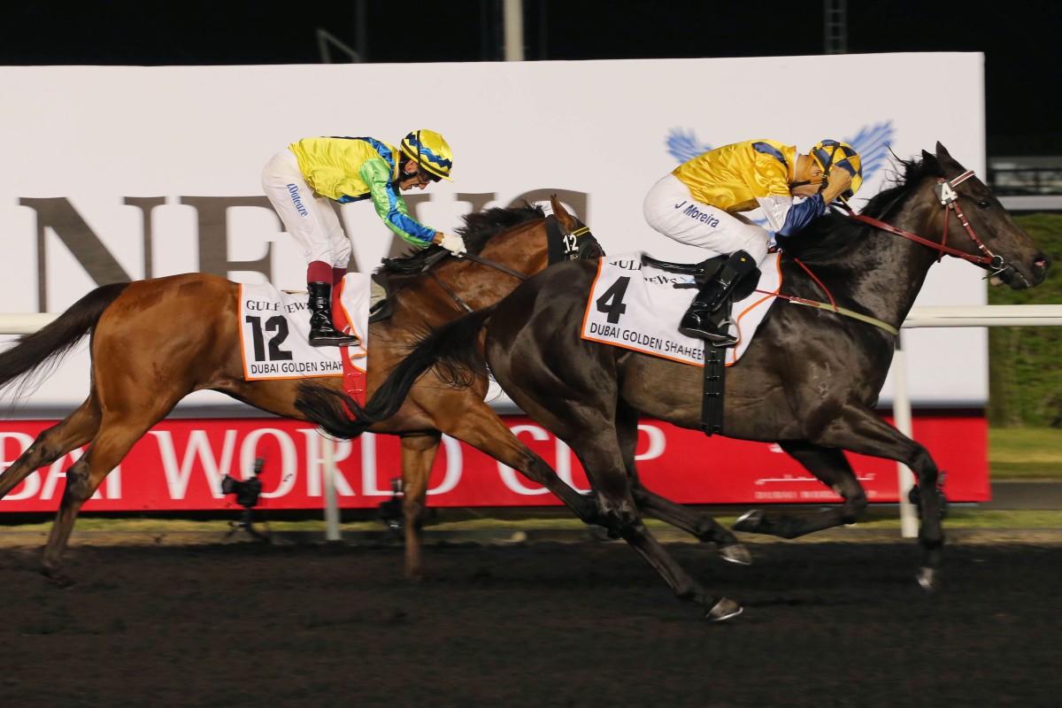 Sterling City gets the better of fellow Hong Kong raider Rich Tapestry in the Golden Shaheen.