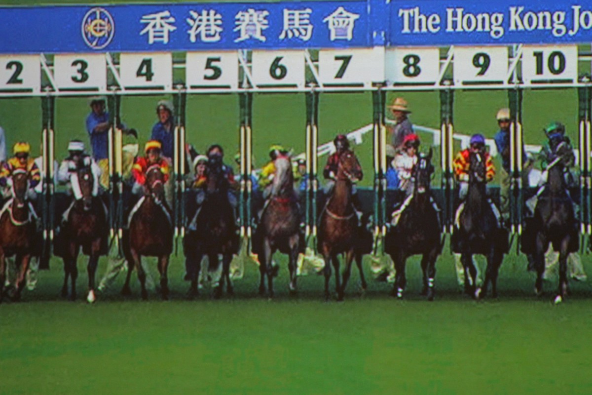 Discussions are under way with two other major wagering operators, Xpressbet and Twin Spires, to join commingling. Photo: Kenneth Chan