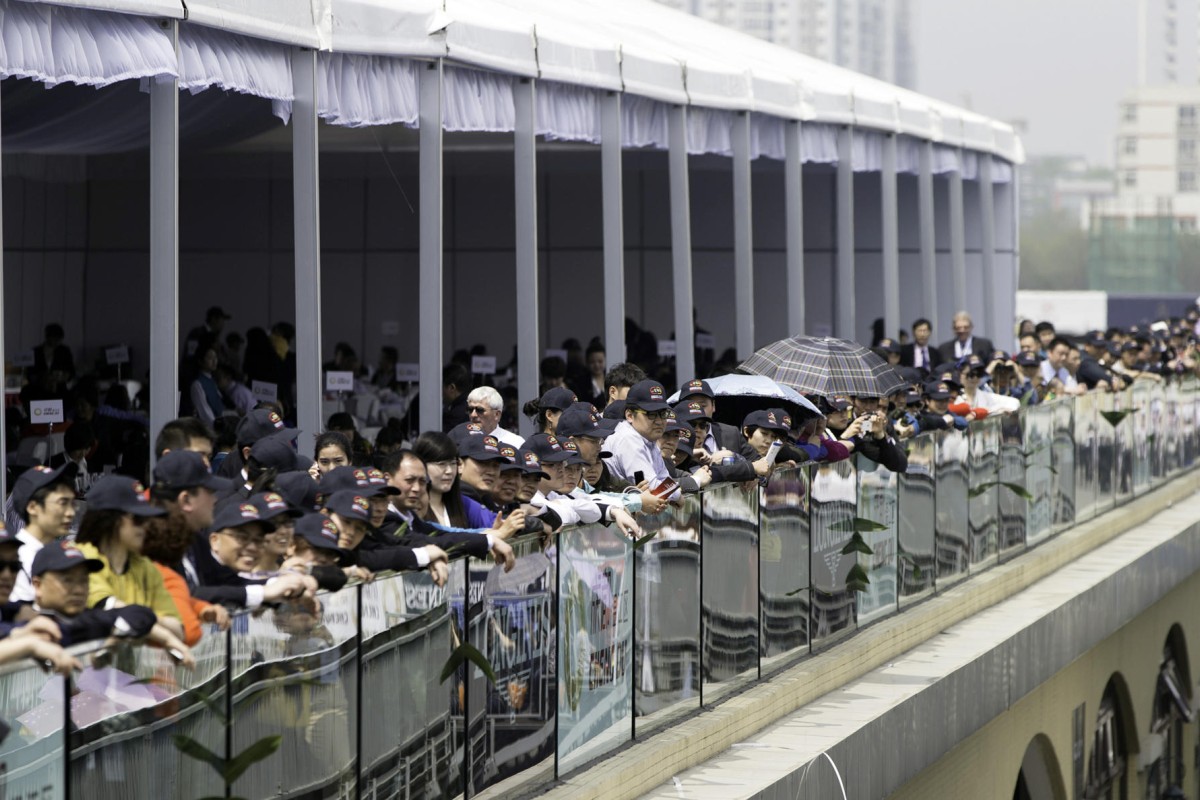 Forty-eight horses were flown in for five races at Jinma racecourse in Wenjiang, Sichuan province. The event was funded by Sheikh Mohammed's Meydan Corporation. Photo: Neville Hopwood, Dubai Race Club