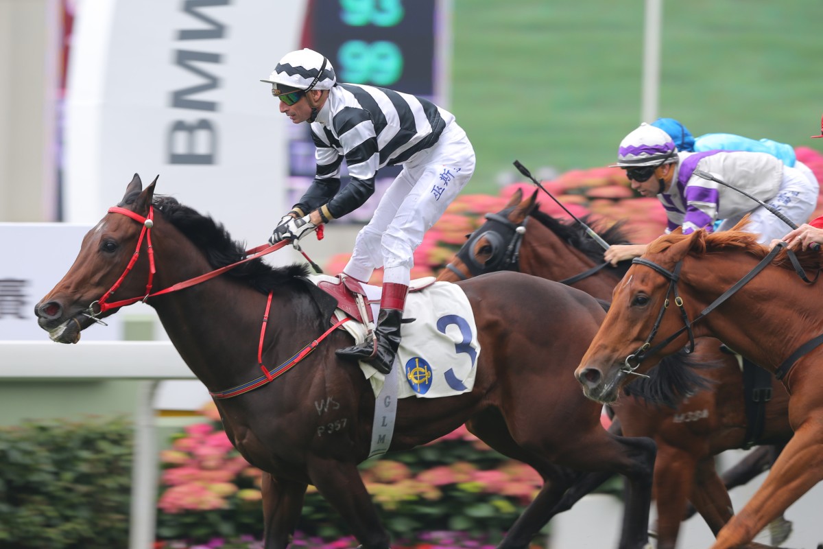 Circuit Fortune, to be ridden by Gerald Mosse, has a cushy draw. Photo: Kenneth Chan