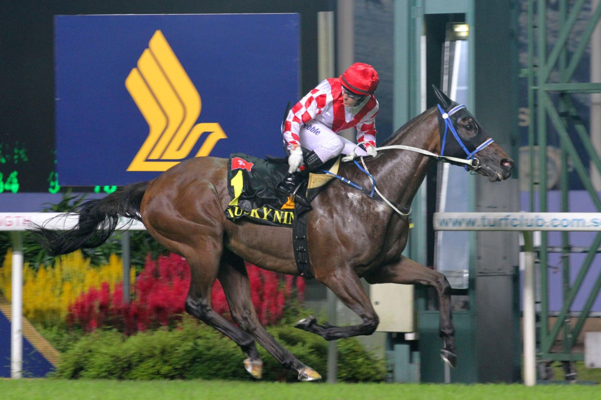 Brett Prebble guides Lucky Nine to victory in the KrisFlyer International Sprint for the second year in a row. Photo: Kenneth Chan