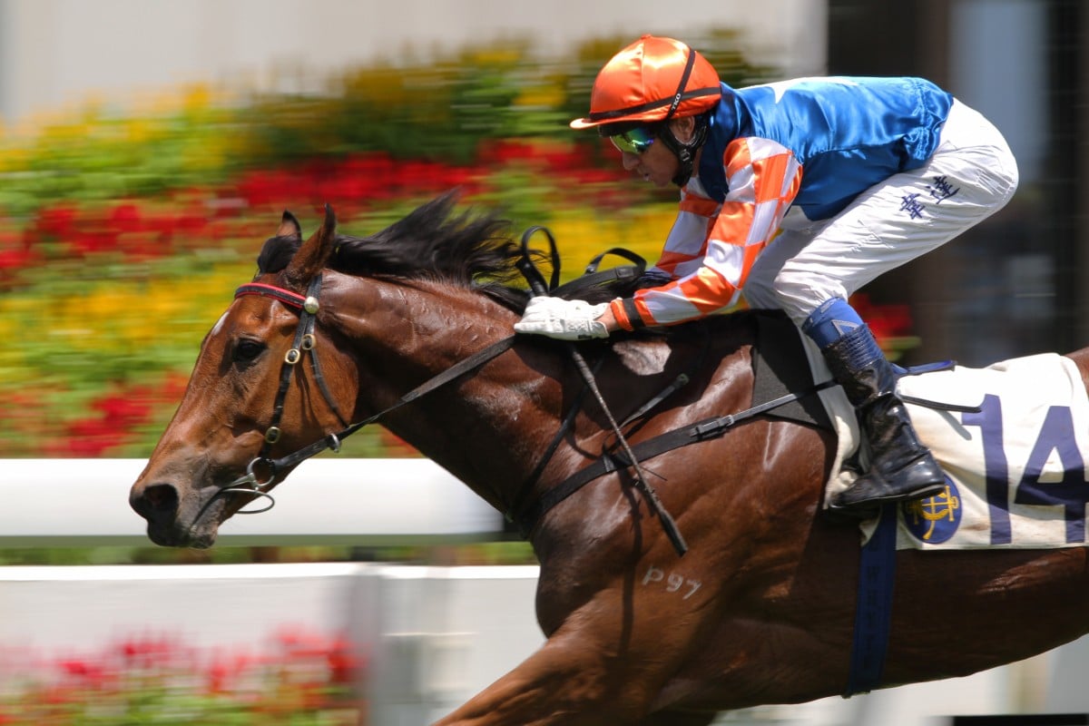 Champion jockey Douglas Whyte pulls away from the field aboard Sharp Hunter to score one of trainer Francis Lui's two wins of the day. Photo: Kenneth Chan