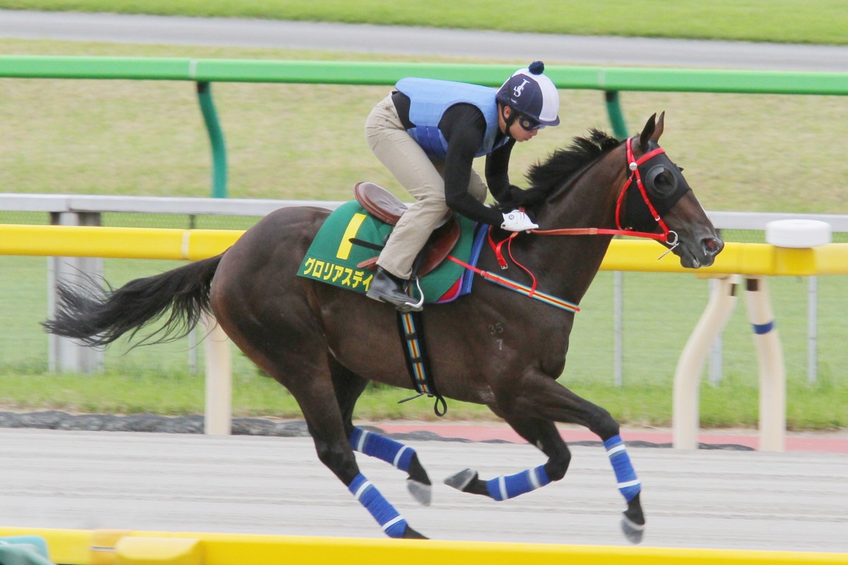 Glorious Days gallops on the dirt at Tokyo Racecourse on Thursday. Photo: Kenneth Chan