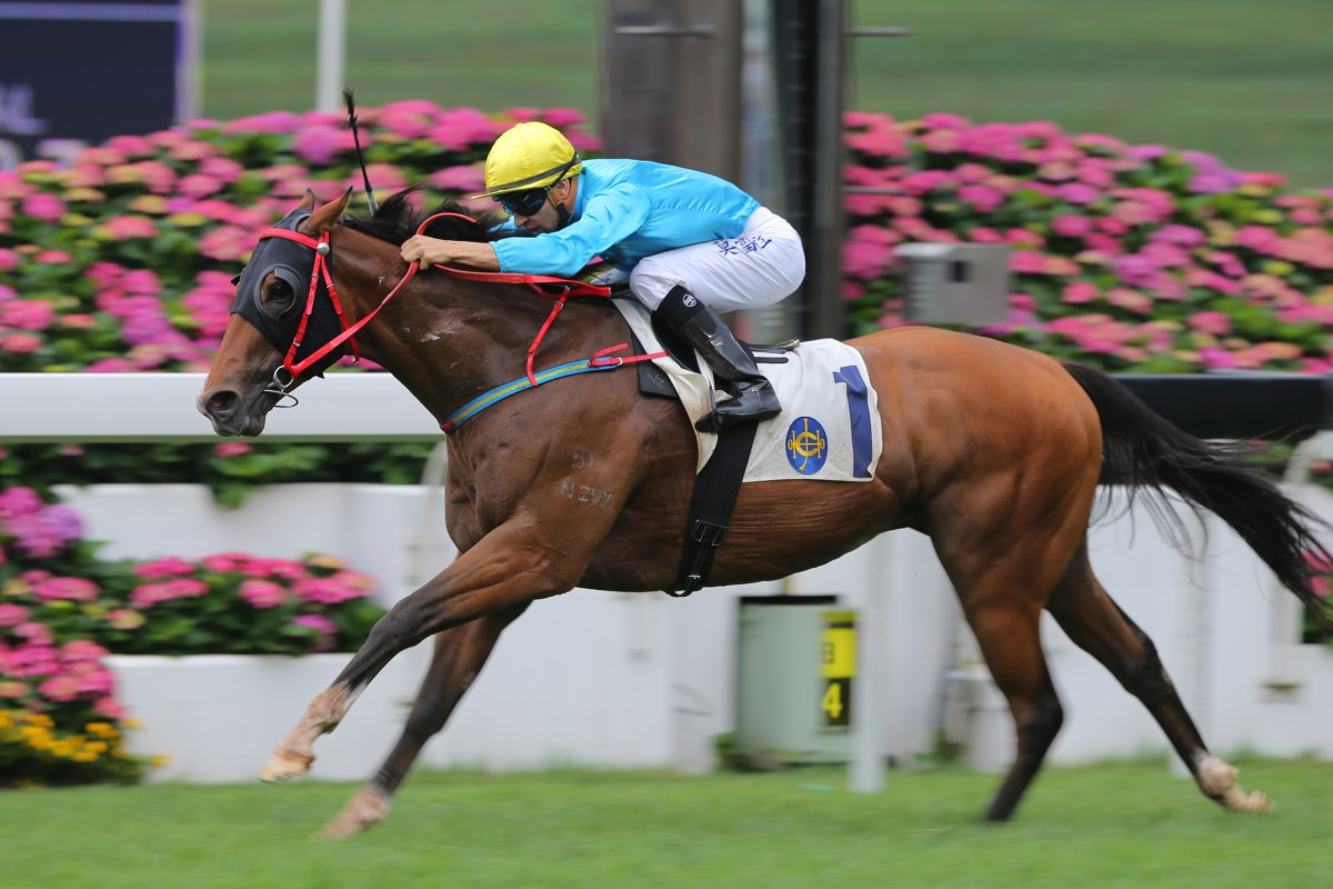 Tour De Force started the ball rolling in the Triple Trio on Champions Mile race day, winning race five at Sha Tin. Photo: Kenneth Chan 