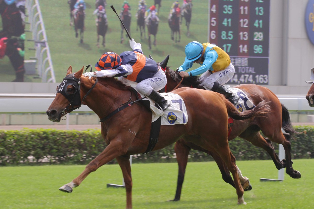 Optimization Star won over this course and distance in November under Ben So Tik-hung. Photo: Kenneth Chan