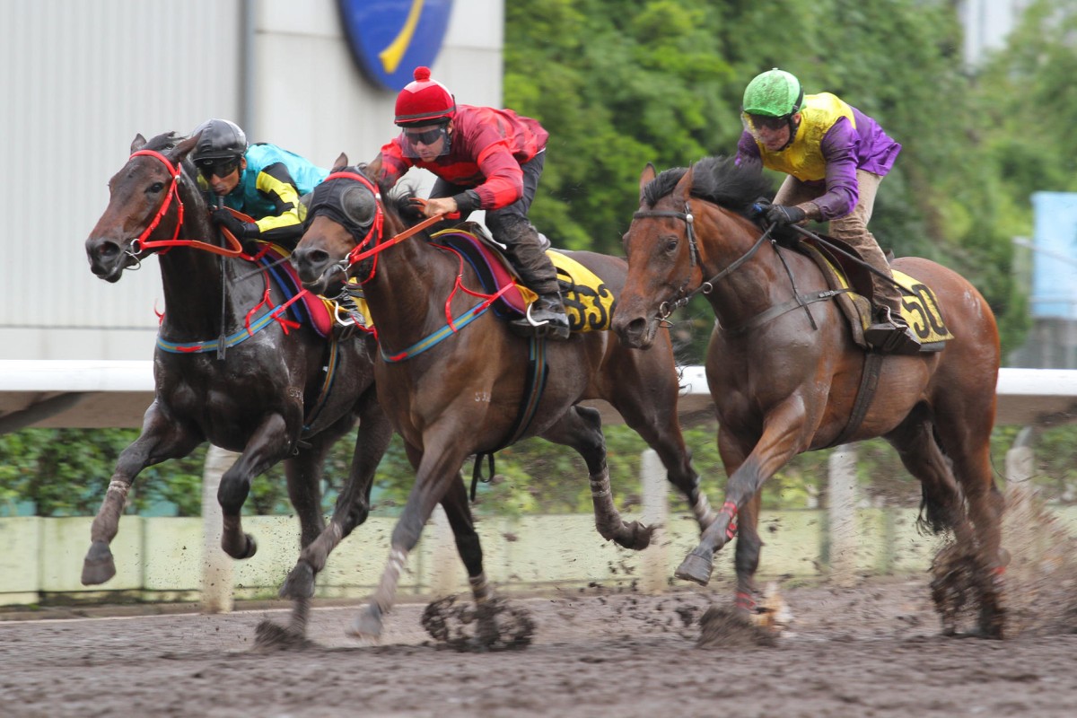 Sergeant Titanium (Brett Prebble) comes through in the middle to beat Mighty Wongchoy (Christian Reith) and Raging Bull (Karis Teetan) on Friday.Photos: Kenneth Chan