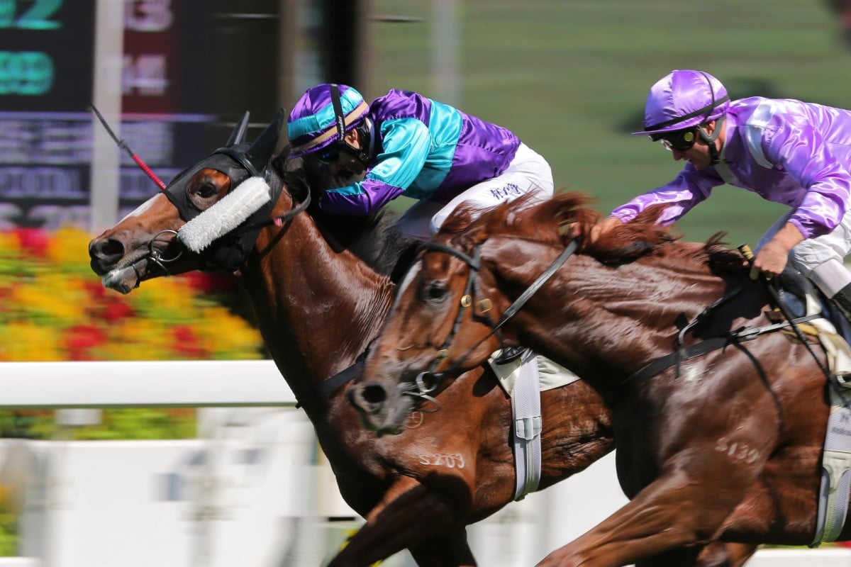 Brilliant Dream (Brett Prebble) just holds off the late charge of Star Track (Zac Purton) last start. Photo: Kenneth Chan