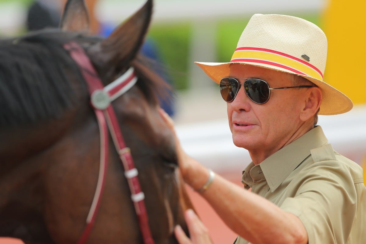 Trainer John Moore hopes Dan excel will be well enough for the Group One Toorak Handicap on October 11. Photo: Kenneth Chan   