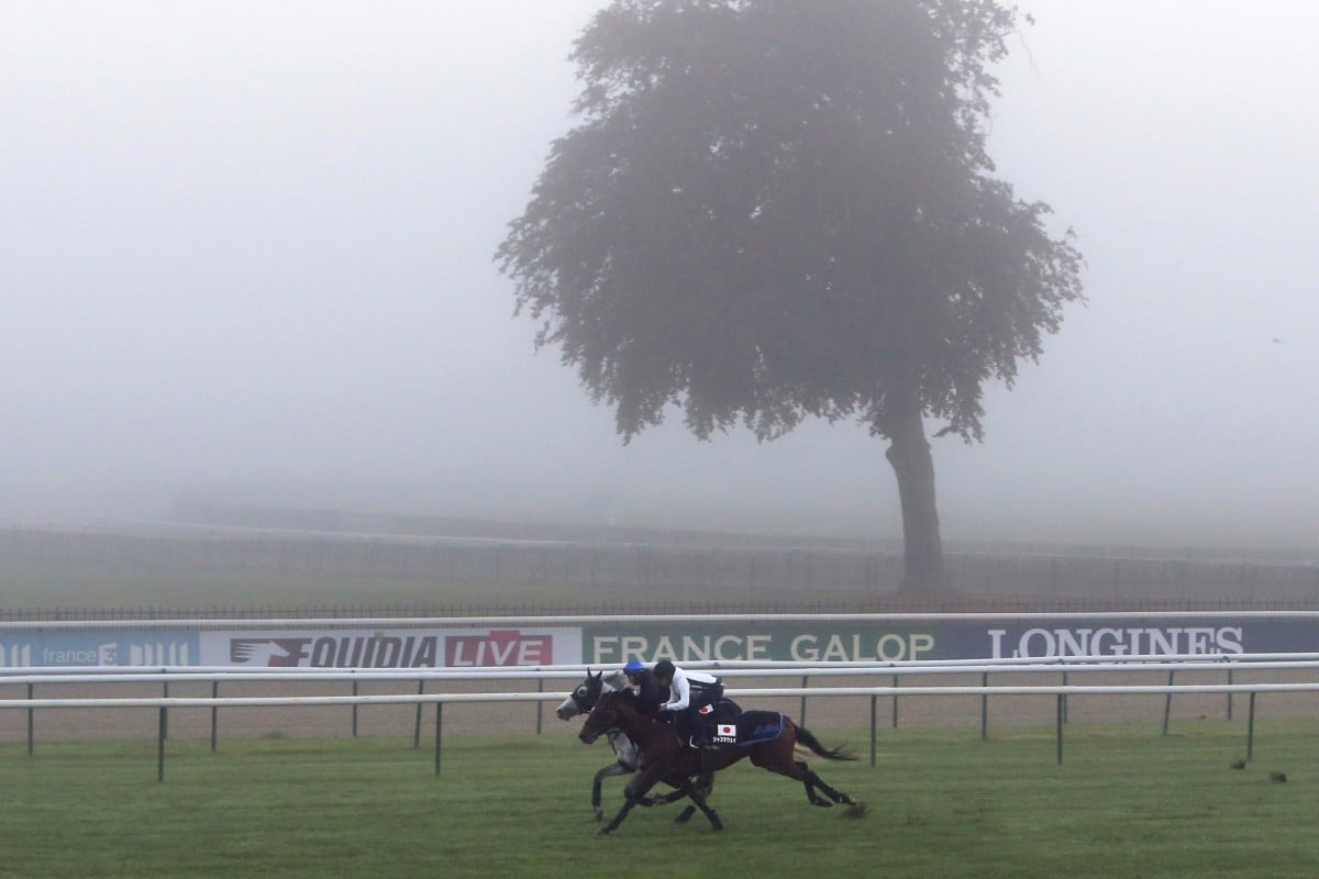 Just a Way (Yuichi Fukunaga) and Gold Ship (Norihiro Yokoyama) gallop at Chantilly, north of Paris, in preparation for Sunday's Prix de l’Arc de Triomphe. Photo: AP