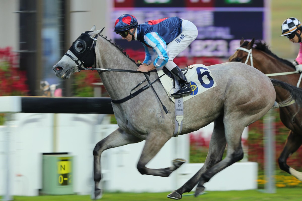 Divine Calling wins at Sha Tin on Sunday. Photos: Kenneth Chan