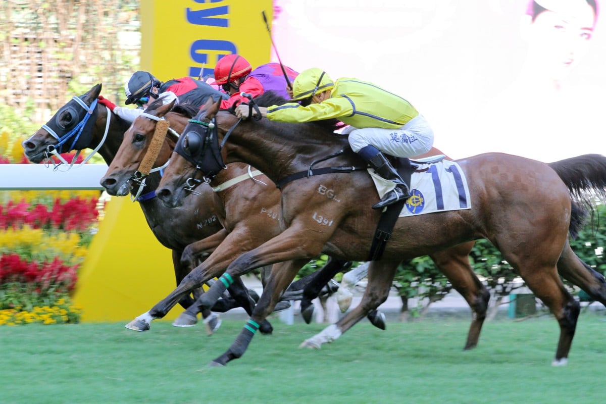 Owners' Glory gets up to score in a blanket finish for Joao Moreira. Photos: Kenneth Chan