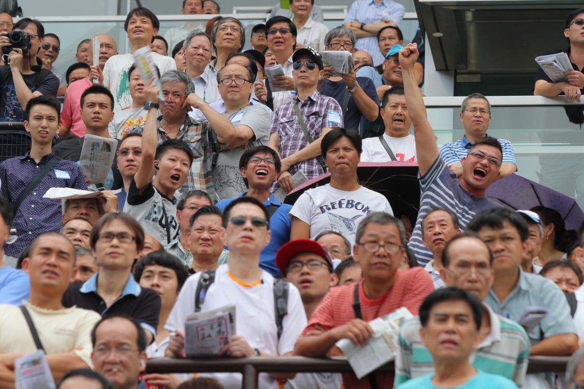 Punters at Sha Tin could easily form the latest 'Occupy' camp with a number of gripes. Photo: Kenneth Chan