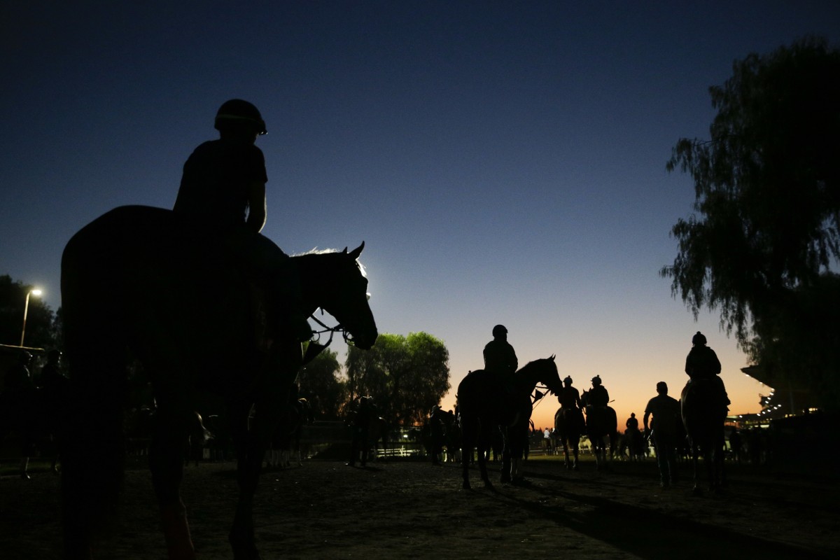 Riders and horses walk toward the track for a morning workout ahead of the Breeders' Cup races at Santa Anita Park. Photo: AP