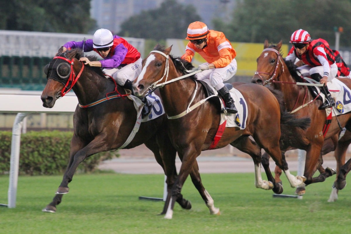 John Size won last year's Ladies' Purse with Endowing (Tye Angland, inside).