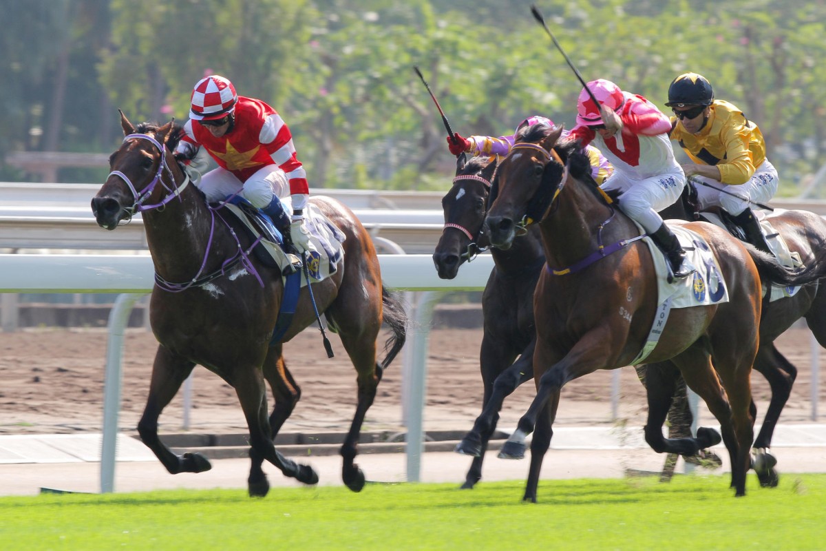 Douglas Whyte's decision to take Forever Accurate straight to the front proved to be the winning move as he scraped home. Photos: Kenneth Chan