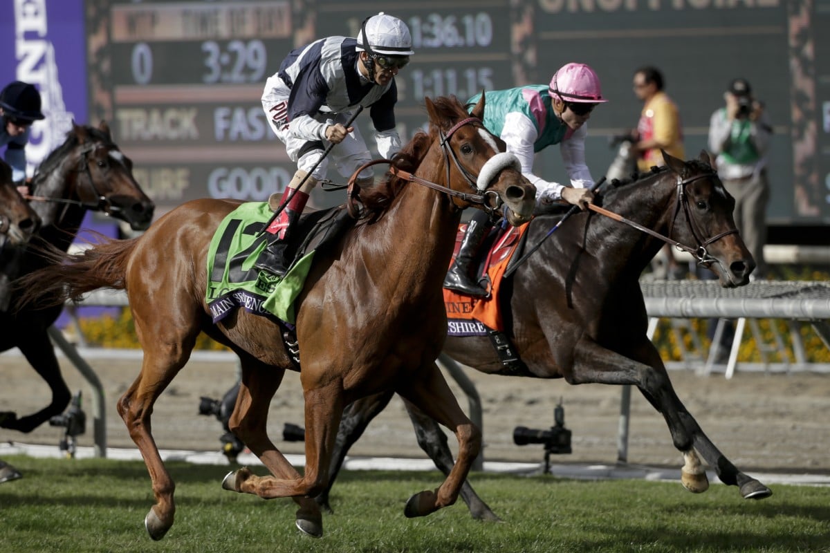 Flintshire (inside) finishes second to Main Sequence in the Breeders' Cup Turf earlier this month. Photo: AP