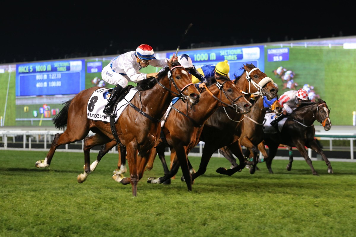 The Dubai World Cup meeting is the closest thing to racing's world championships, but even it has its drawbacks. Photo: Kenneth Chan