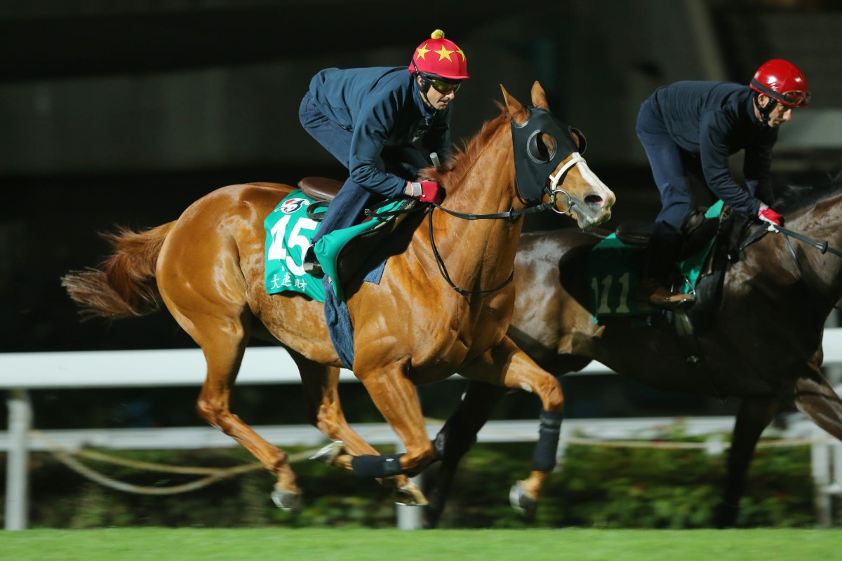 Gold-Fun gallops strongly alongside stablemate Great Charm on Tuesday morning. Photo: Kenneth Chan