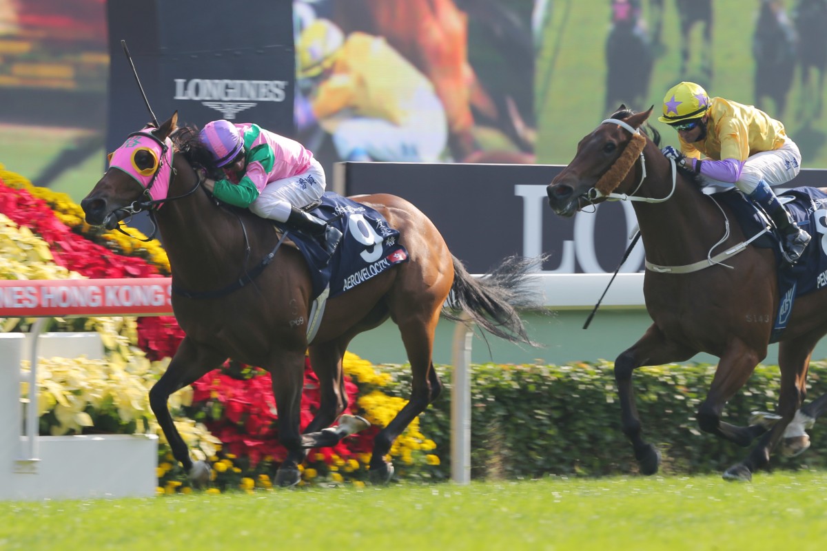 Work rider Annelie Ackerman escorts Hong Kong Vase runner Flintshire back to the stable after a gallop. 