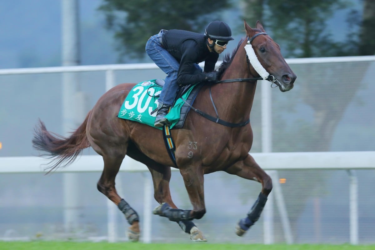 Joao Moreira rides Able Friend on the turf at Sha Tin on Thursday. Photos: Kenneth Chan 