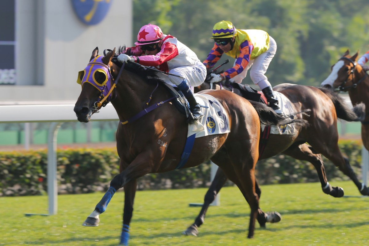 Whyte #39 s Talent remains in hot demand from trainers HK Racing South