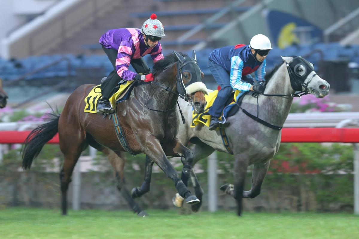 Divine Calling (right) finishes second in his trial. Photo: Kenneth Chan