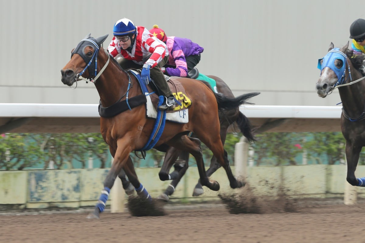 Lucky Nine is likely to tackle the Chairman's Sprint next month and then the Queen's Silver Jubilee over 1,400m.