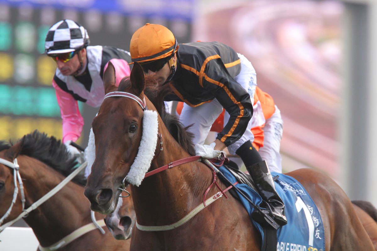 There are plenty of factors that will guide the decision as to where Able Friend races next. Photos: Kenneth Chan