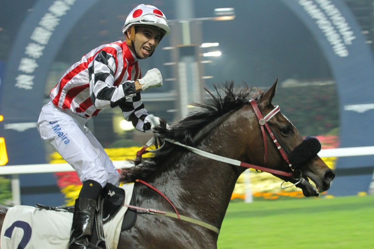 Harbour Master can win again at Happy Valley on Wednesday night. Photo: Kenneth Chan