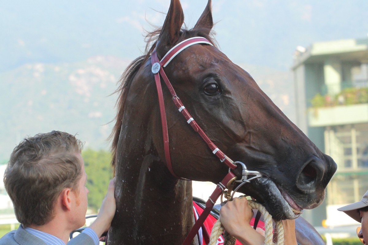 George Moore with the subject of discussions, Hong Kong Mile winner Able Friend.