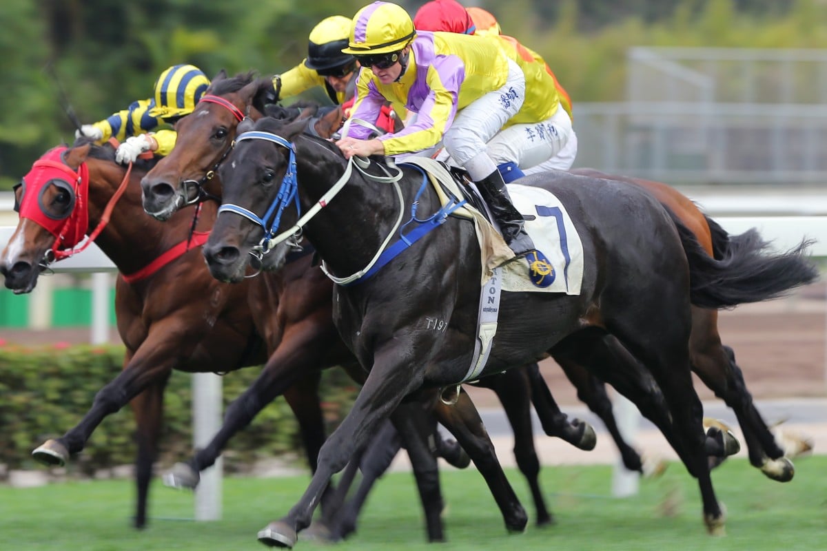 Zac Purton gets to work on Renaissance Art who finishes strongly to breakthrough for a win. Photos: Kenneth Chan