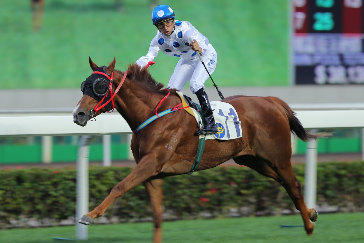 WIN NUMBER SIX: Contentment strides into BMW Hong Kong Derby calculations with an easy victory.
