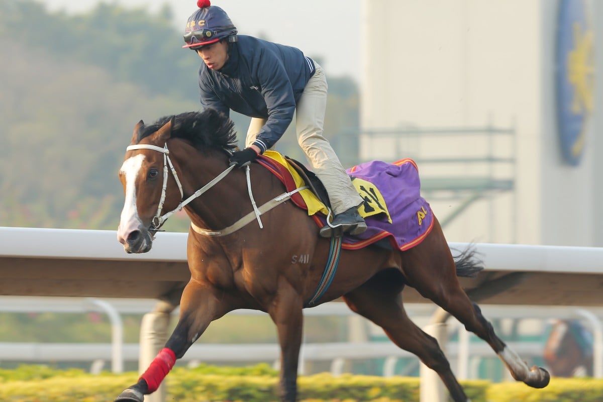 Beauty Only has sounded a warning with a strong turf gallop. Photo: Kenneth Chan