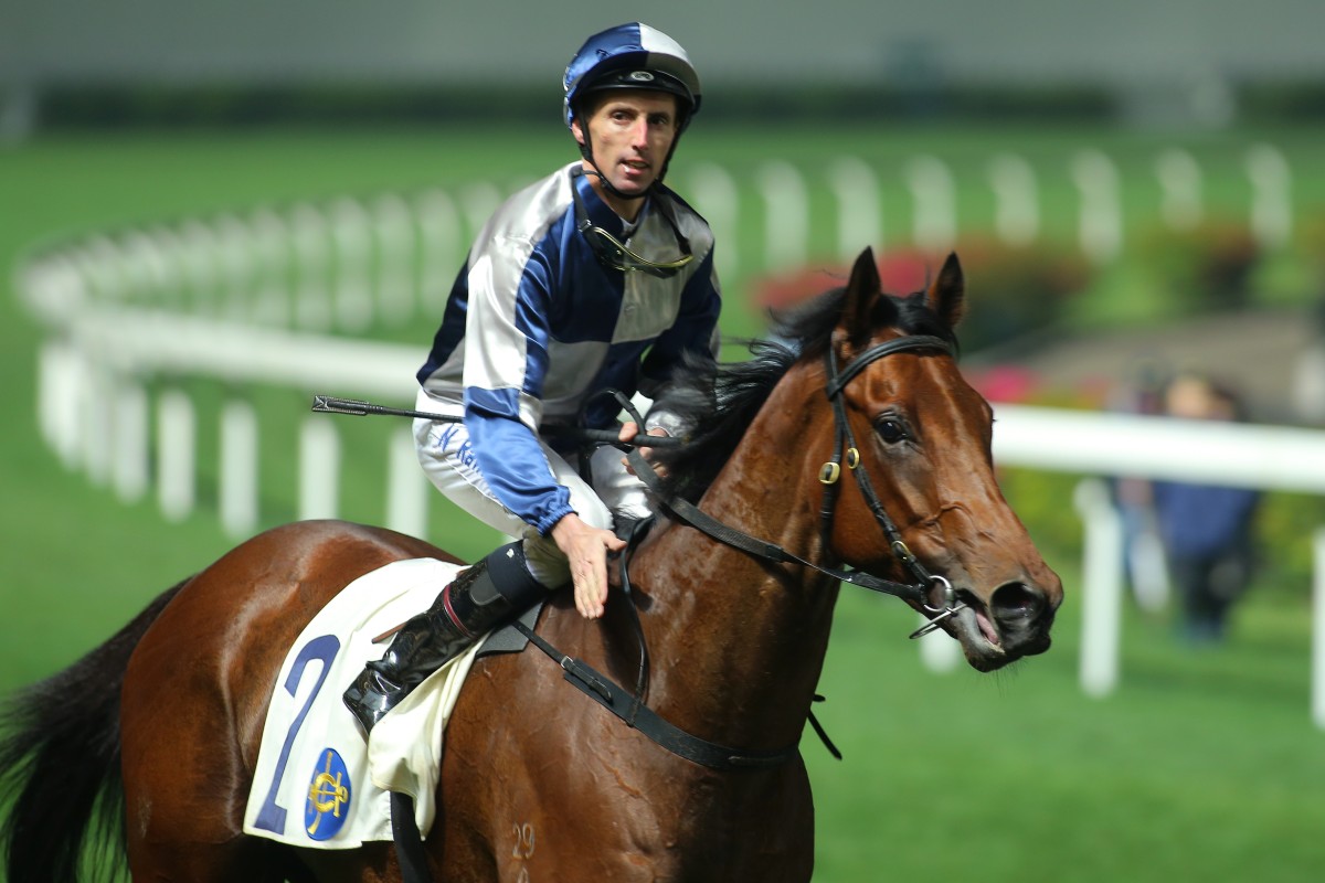 Nash Rawiller returns on Dilly after winning on debut. Photo: Kenneth Chan