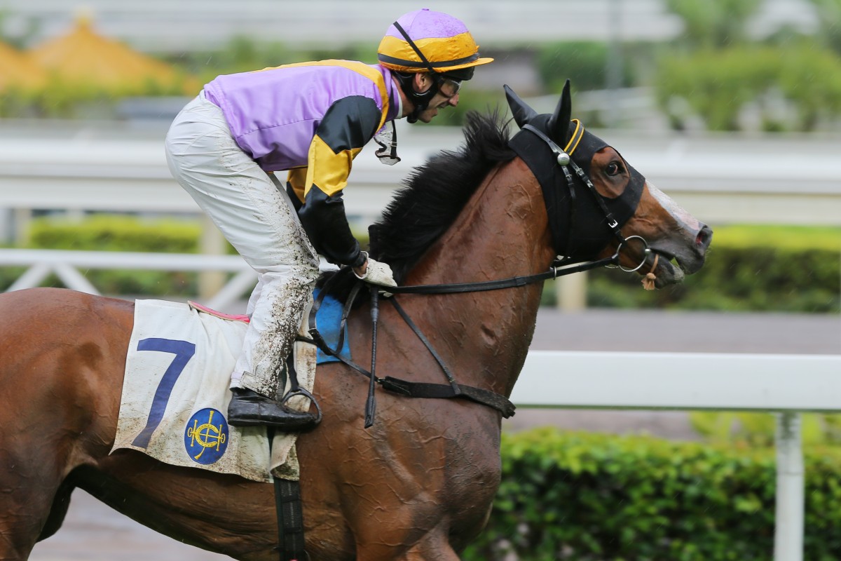 Razor Quest may only have won in Class Three on Saturday, but has bigger targets next season. Photo: Kenneth Chan