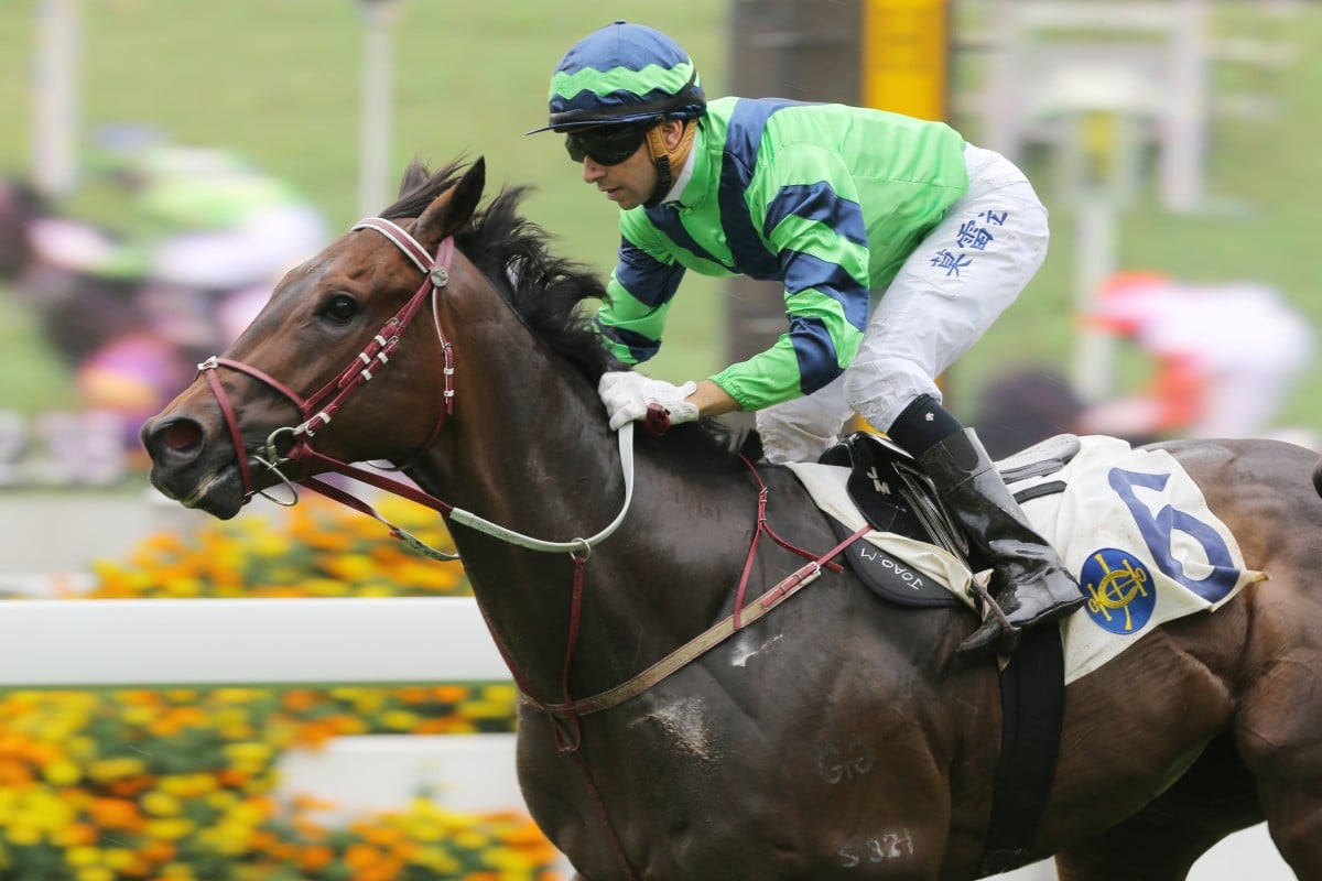 Joao Moreira produced a masterful ride on Bear-Pop to bring up the three-year-old's second consecutive win. Photo: Kenneth Chan