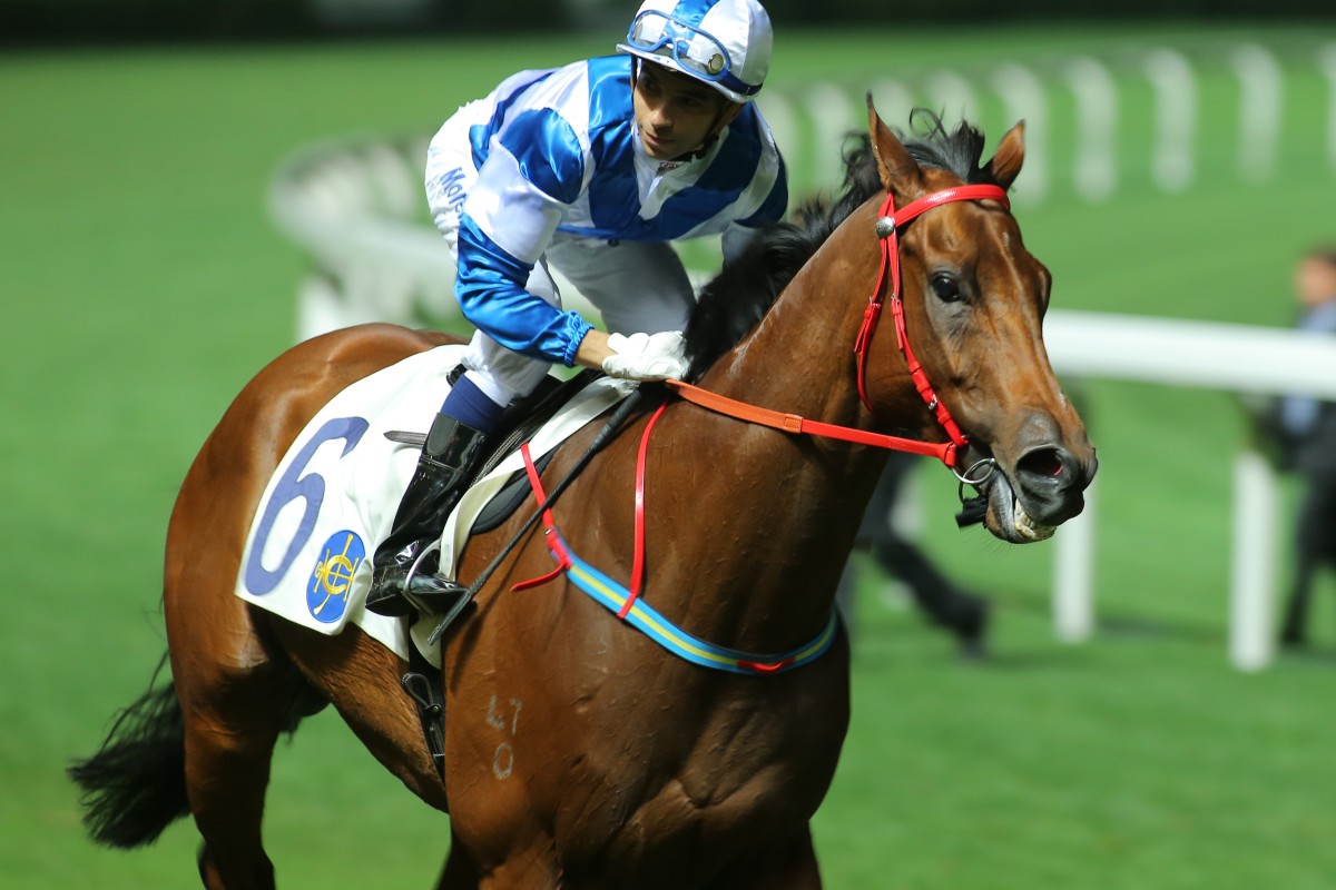 The real Shadowfaxe will be well fancied here. Photo: Kenneth Chan