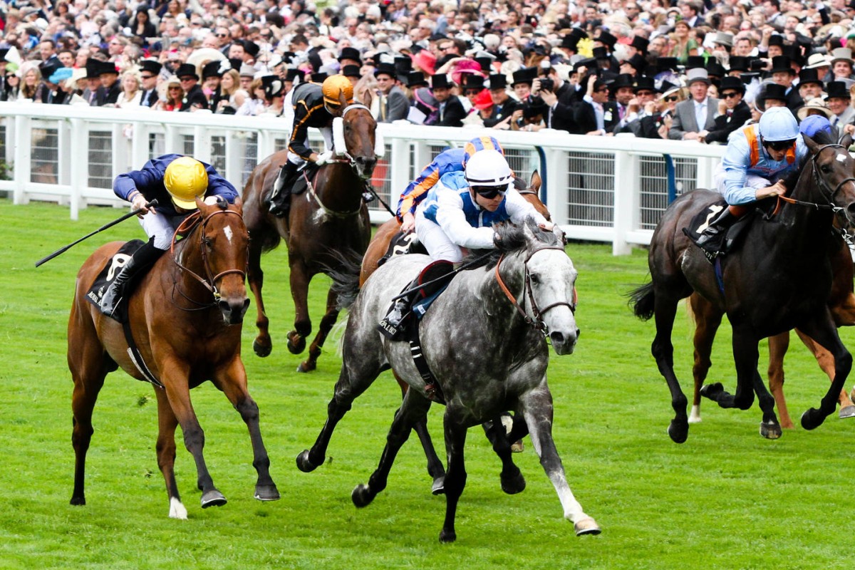 Maxim Guyon on Solow wins the Queen Anne Stakes at Royal Ascot with Able Friend (Joao Moreira, gold cap) a distant sixth. Photos: Liesl King