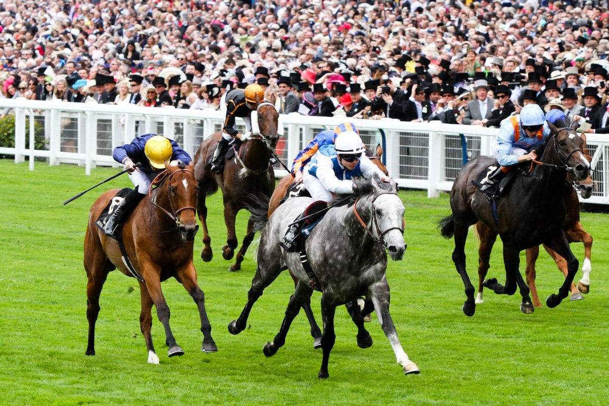 Solow (Maxime Guyon) wins the Queen Anne Stakes at Royal Ascot, with Able Friend (Joao Moreira) a distant sixth. Able Friend may have simply had enough, or was overcome by the occasion or the travel, but to suggest his failure was proof of Hong Kong form being substandard is foolish. Photo: Liesl King