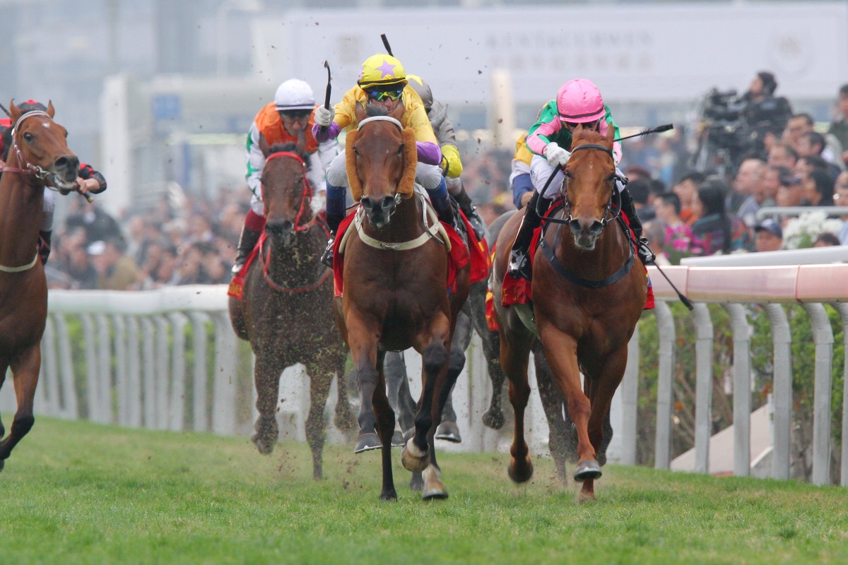 The Kent & Curwen Centenary Sprint Cup will be moved from the straight course, which has a bias on the fence. Photos: Kenneth Chan